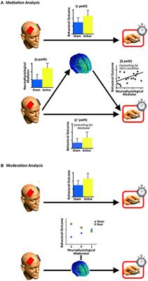 Transcranial Electrical Stimulation and Behavioral Change: The Intermediary Influence of the Brain